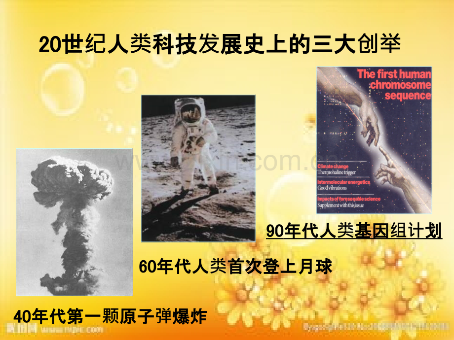 基因组与功能基因组.ppt_第2页