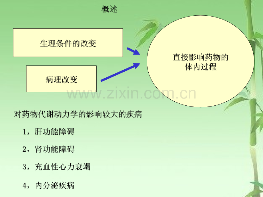 临床药代动力学ppt.ppt_第2页
