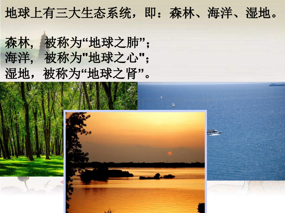 湘教版-湿地资源的开发与保护ppt.ppt_第2页