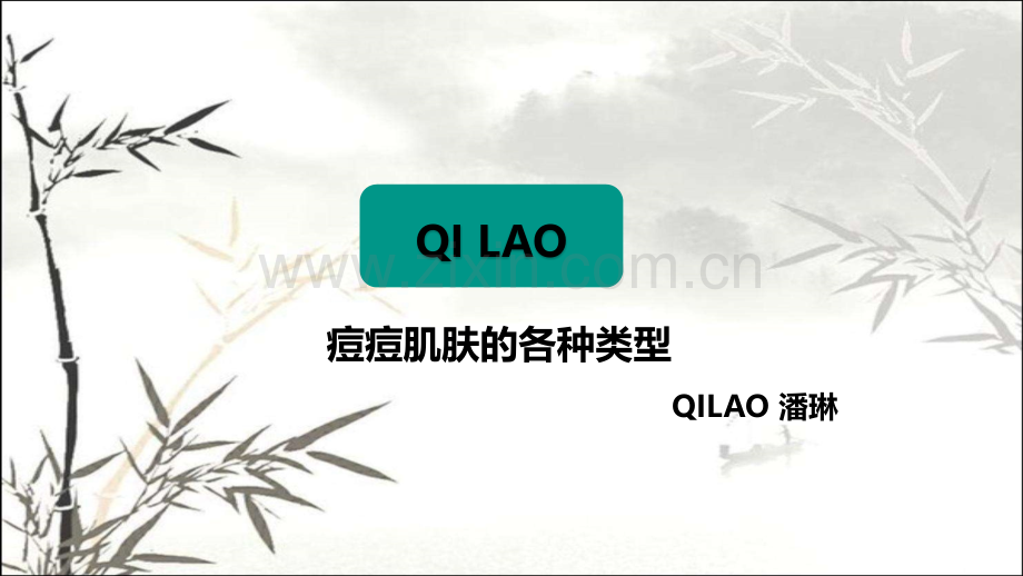 痘痘肌肤的各种类型ppt.ppt_第1页