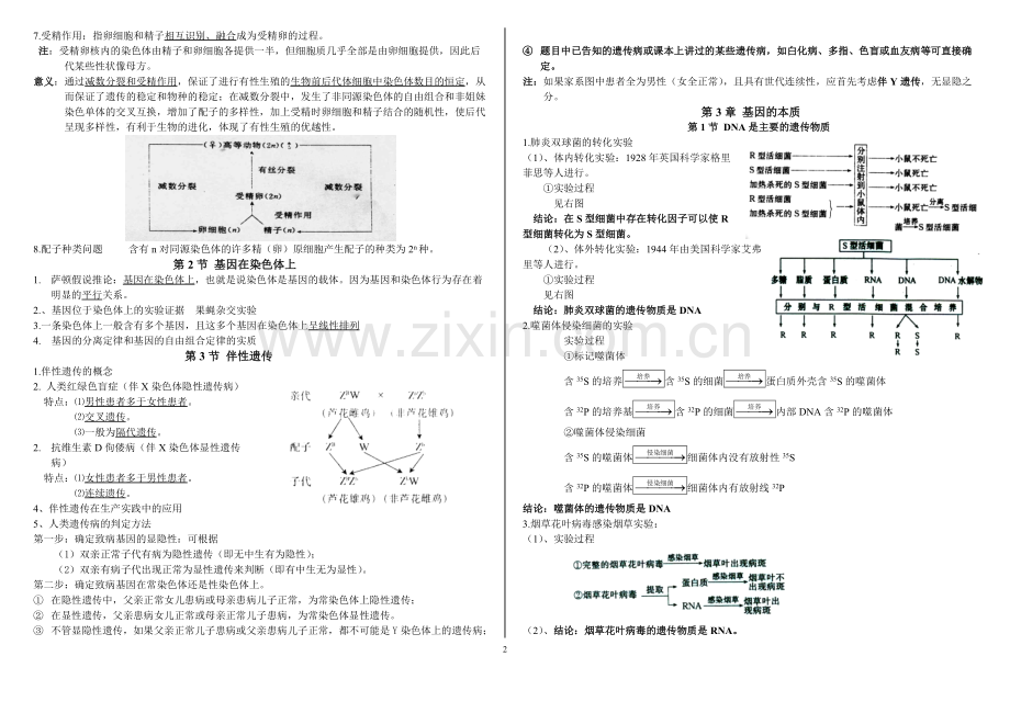高中生物必修2复习基础知识归纳总结.pdf_第2页