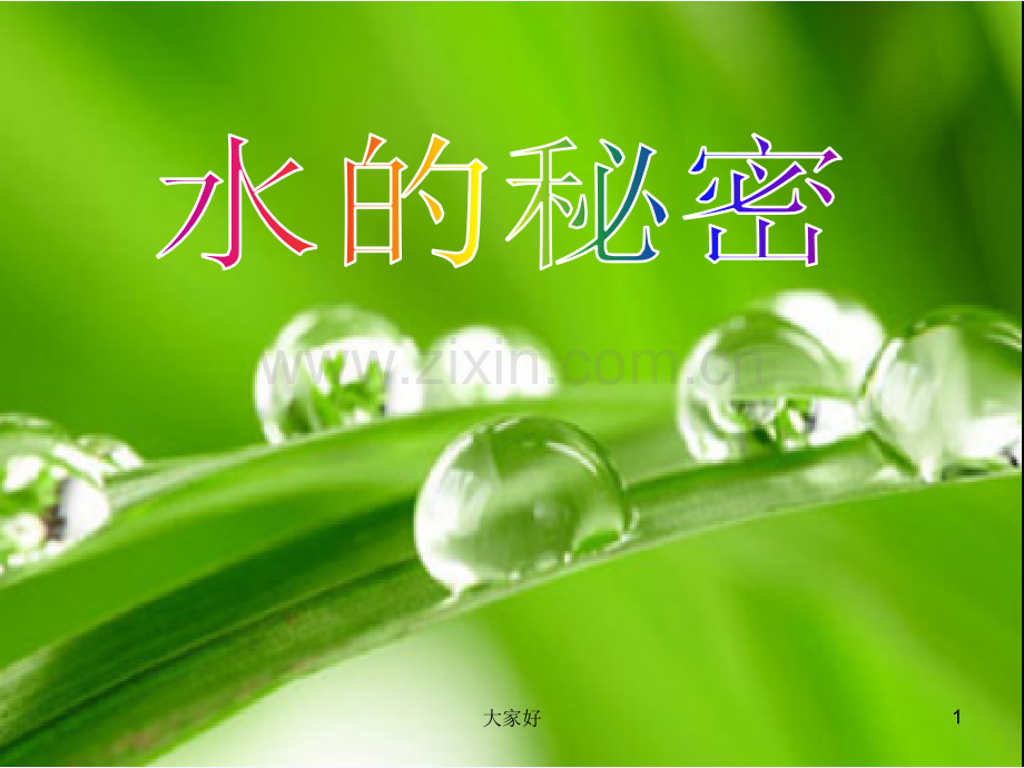 大班科学说课：水的秘密-PPT.ppt_第1页