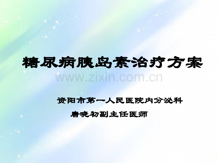 胰岛素治疗方案ppt.ppt_第1页
