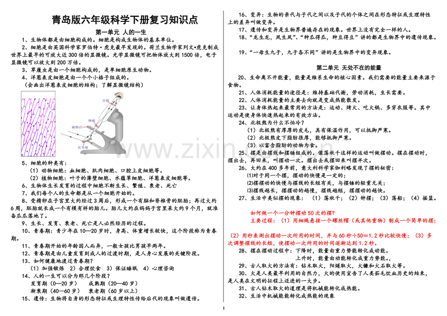 青岛版六年级科学下册复习知识点打印版.pdf_第1页