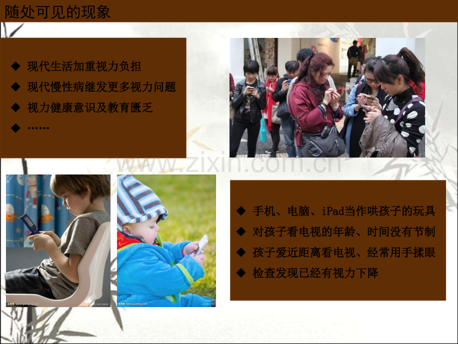 营养与视力健康ppt课件.ppt_第2页