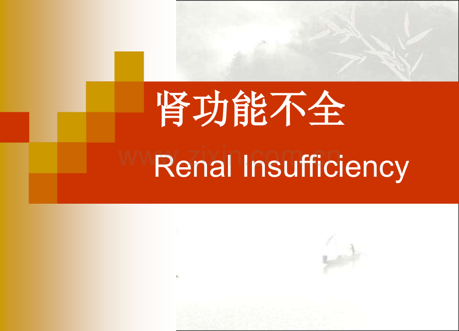 肾功能不全-PPT.ppt_第1页