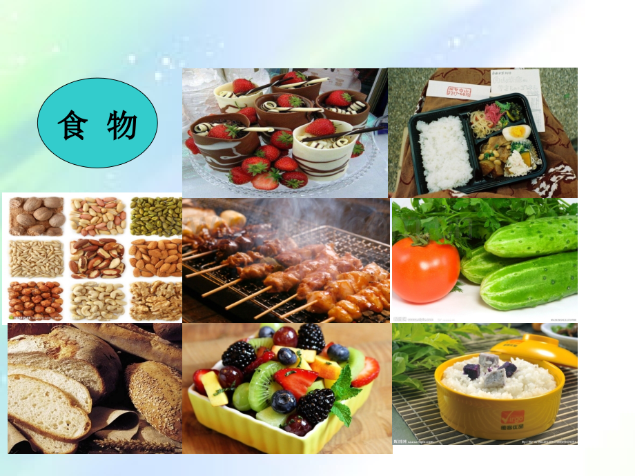 人体的营养---消化与吸收-PPT.ppt_第2页