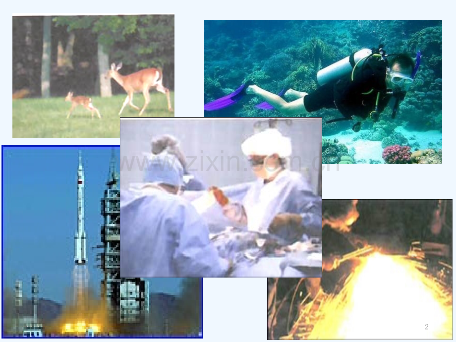 人教版氧气(2).pptx_第2页