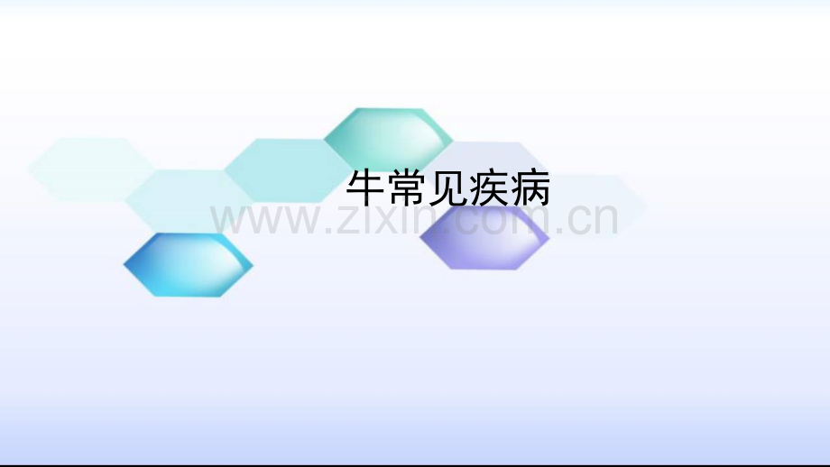 牛常见疾病ppt.ppt_第1页