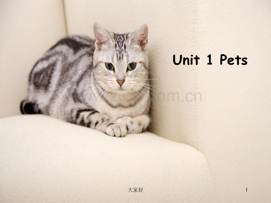 剑桥小学英语-三年级-Unit1-pets.ppt_第1页