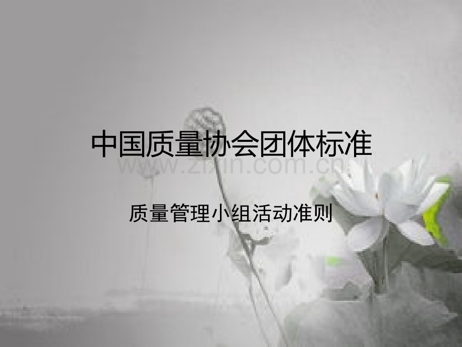 《质量管理小组活动准则》解读-PPT.ppt_第1页