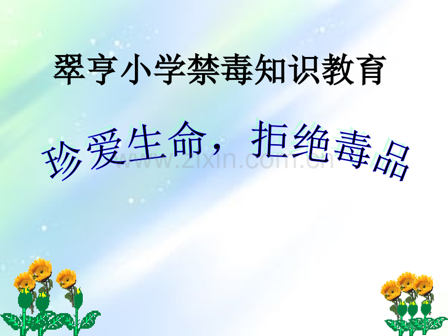 小学禁毒教育讲座-PPT.ppt_第1页
