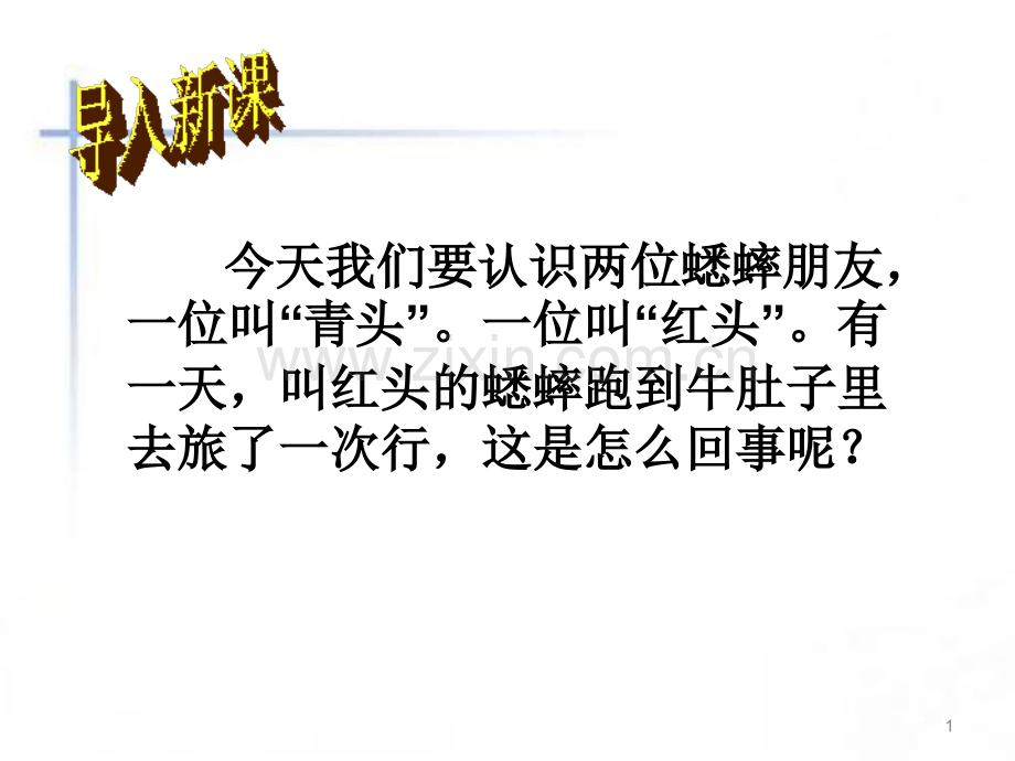 在牛肚子里旅行-.ppt_第1页