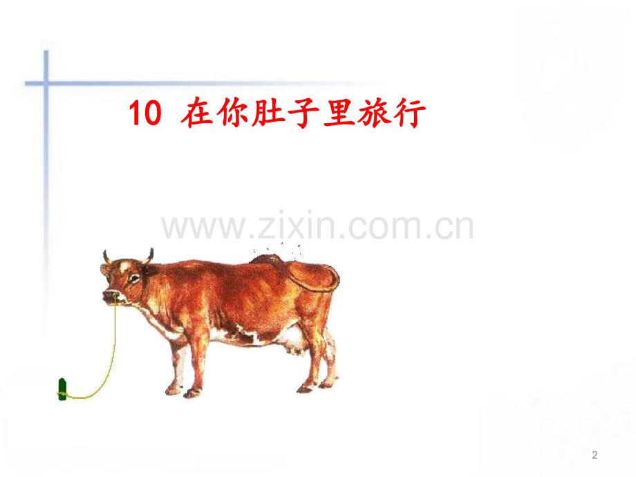 在牛肚子里旅行-.ppt_第2页