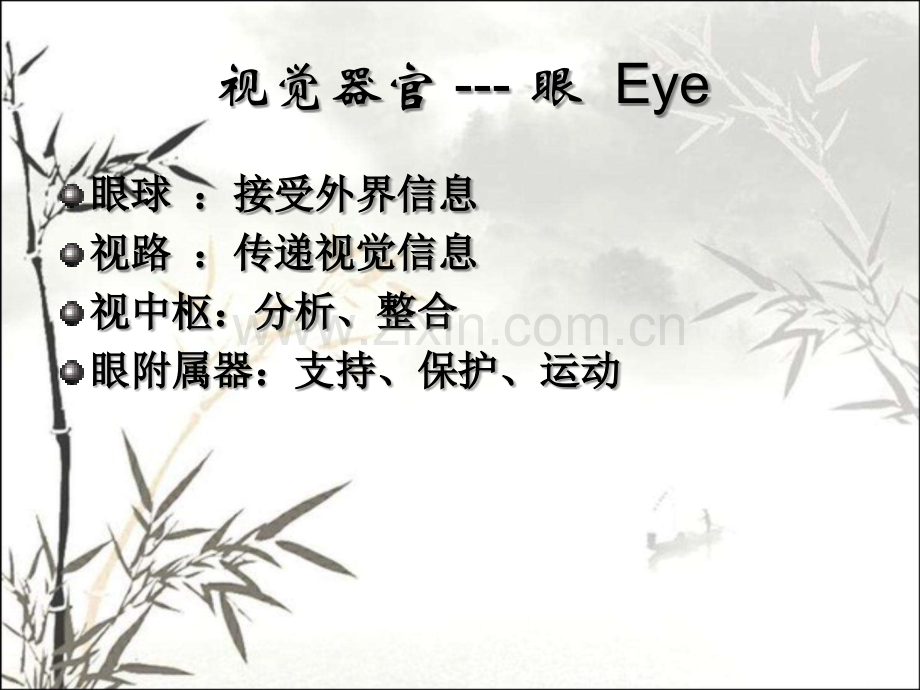 眼部的解剖与生理ppt课件.ppt_第2页