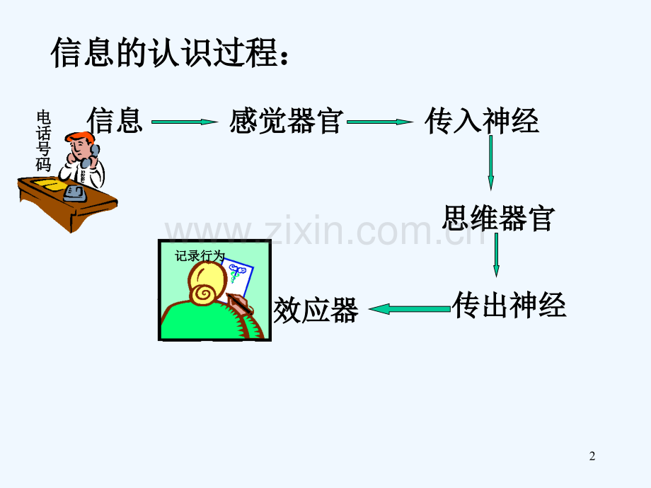 信息的获取和利用-PPT.ppt_第2页