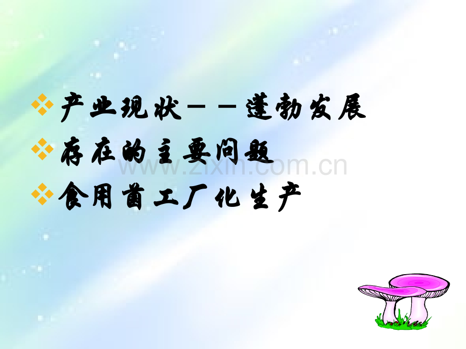 食用菌产业现状及发展趋势-PPT.ppt_第2页