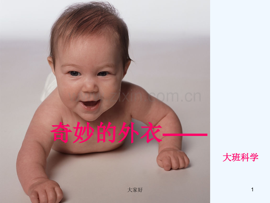 奇妙的外衣——皮肤-PPT.ppt_第1页