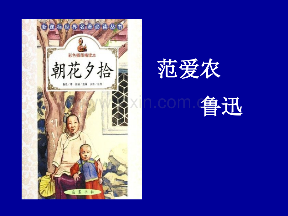 11范爱农.ppt_第1页