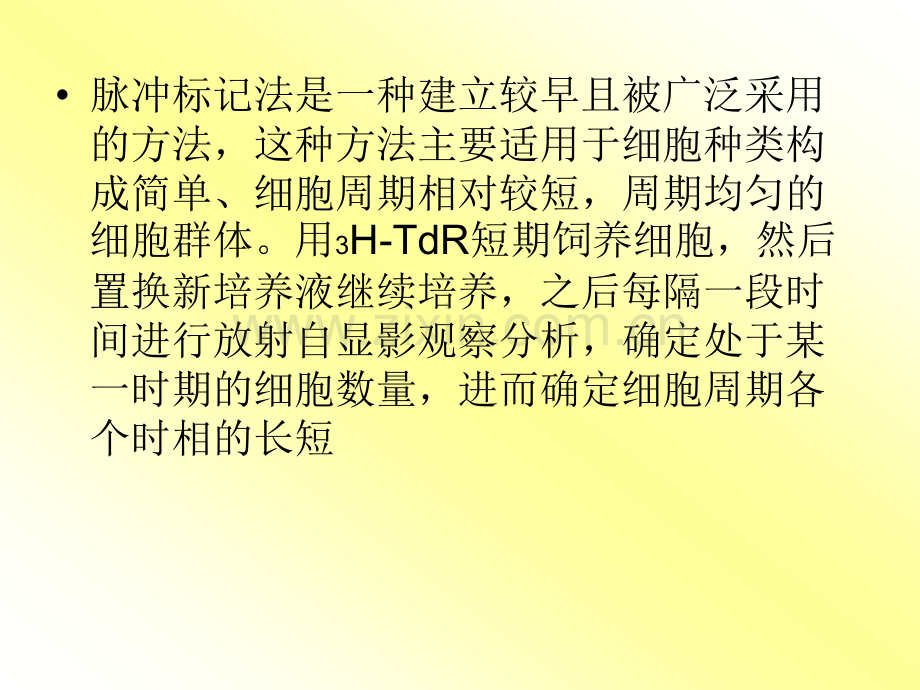 脉冲标记DNA复制和细胞周期测定的研究修改版.ppt_第2页