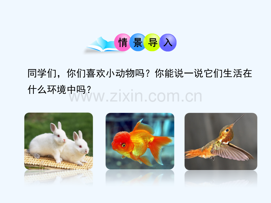 八年级生物上册-15.1《动物运动的方式》2-(新版)北师大版.ppt_第2页