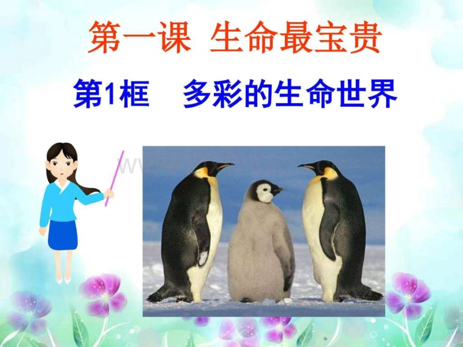 《多彩生命世界》.ppt_第1页