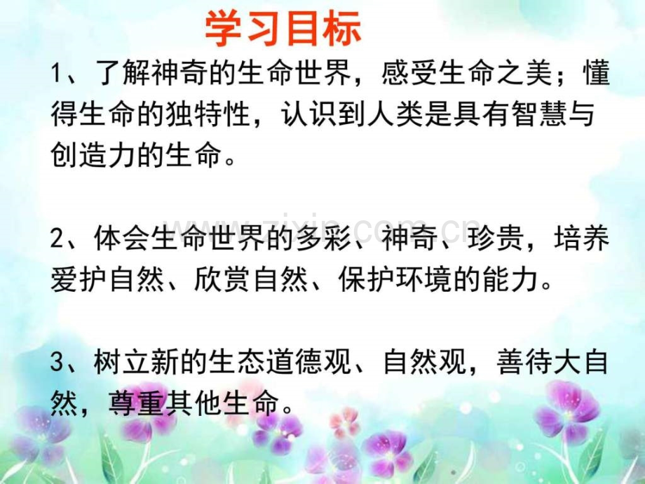 《多彩生命世界》.ppt_第2页