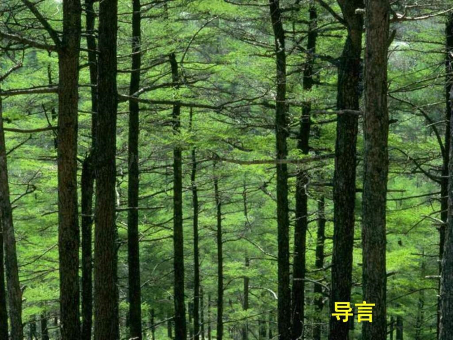 七级生物上册第二章第二节.ppt_第2页