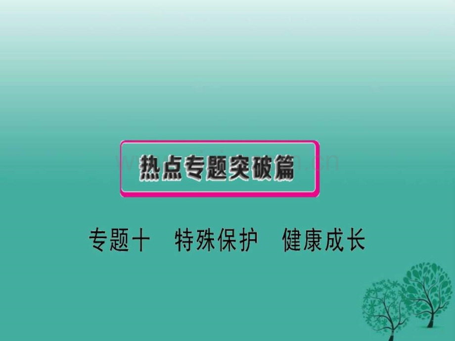 安徽专用2017中考政治总复习专题十特殊保护降成长课.ppt_第1页