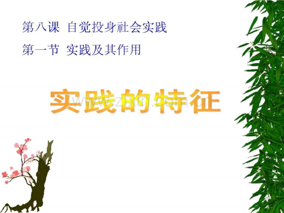 实践特征1432003390.ppt_第1页