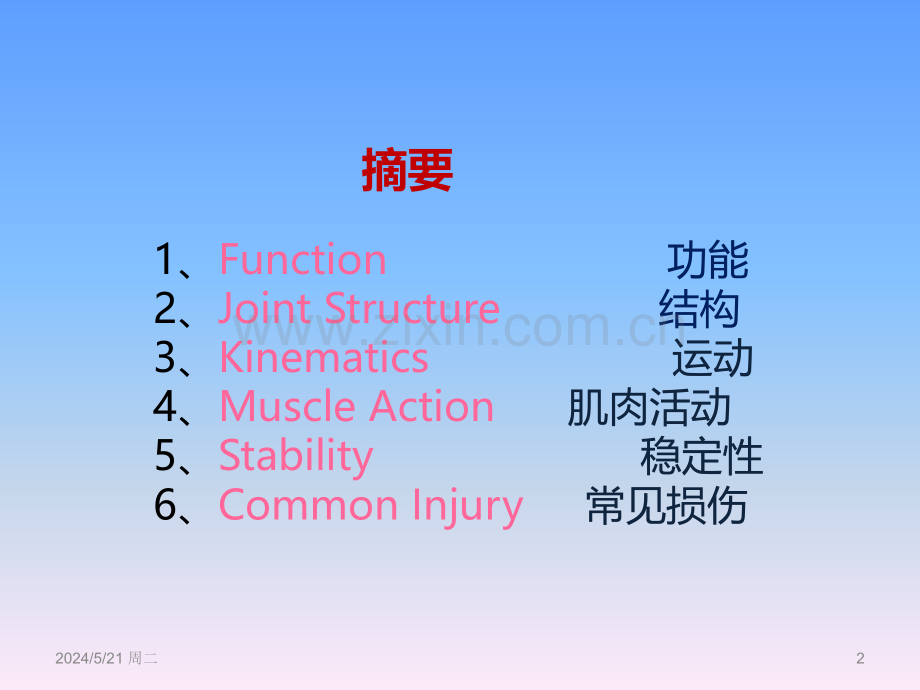 前臂功能解剖.ppt_第2页