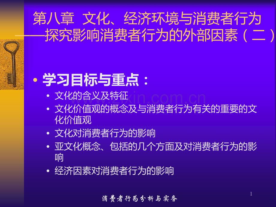 第八章文化、经济环境与消费者行为.ppt_第1页
