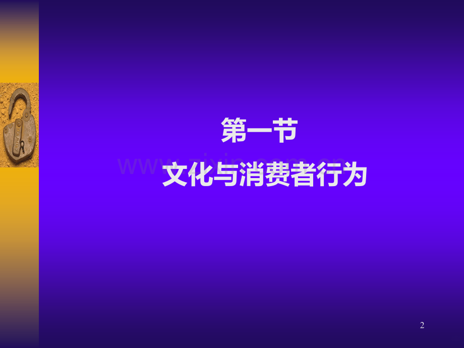 第八章文化、经济环境与消费者行为.ppt_第2页