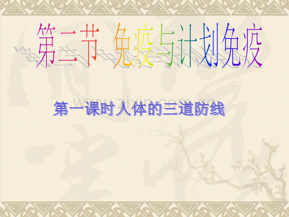 人体的三道防线2.ppt_第1页
