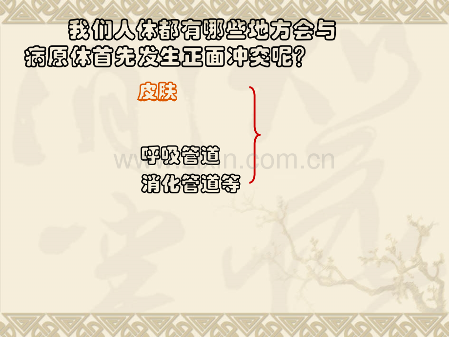 人体的三道防线2.ppt_第2页