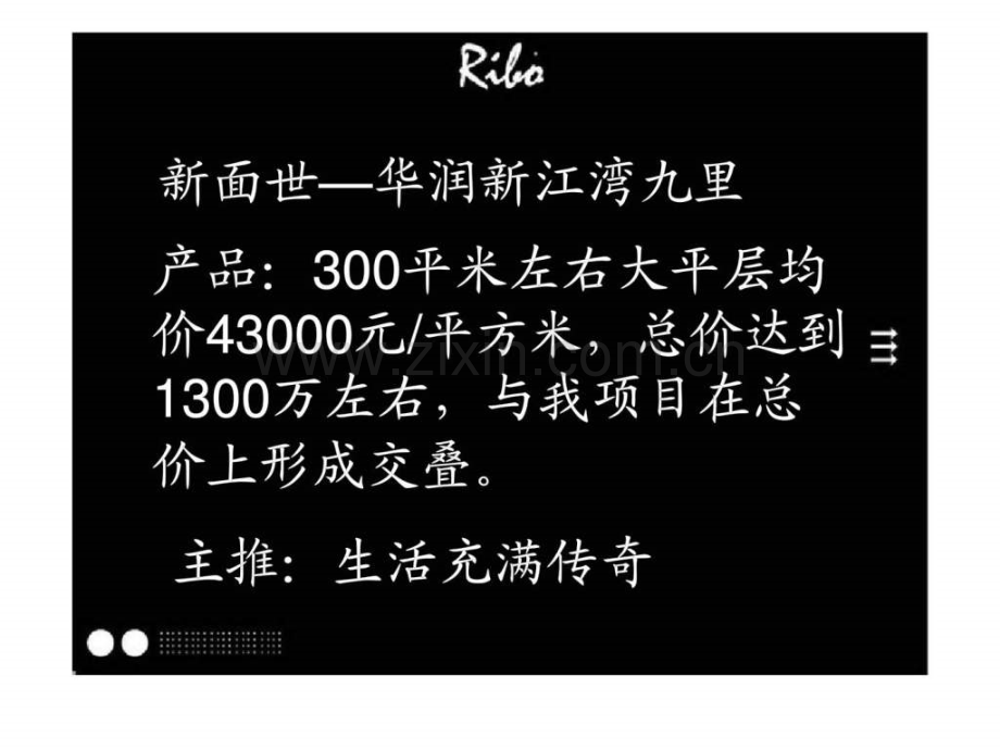 世纪瑞博2011上海建发江湾项目推广案下.ppt_第2页