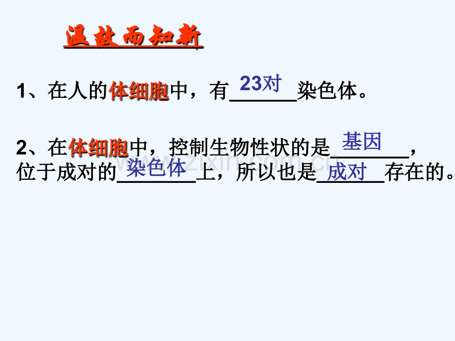 八年级生物上册-20.3《性状遗传有一定的规律性》2-(新版)北师大版.ppt_第1页