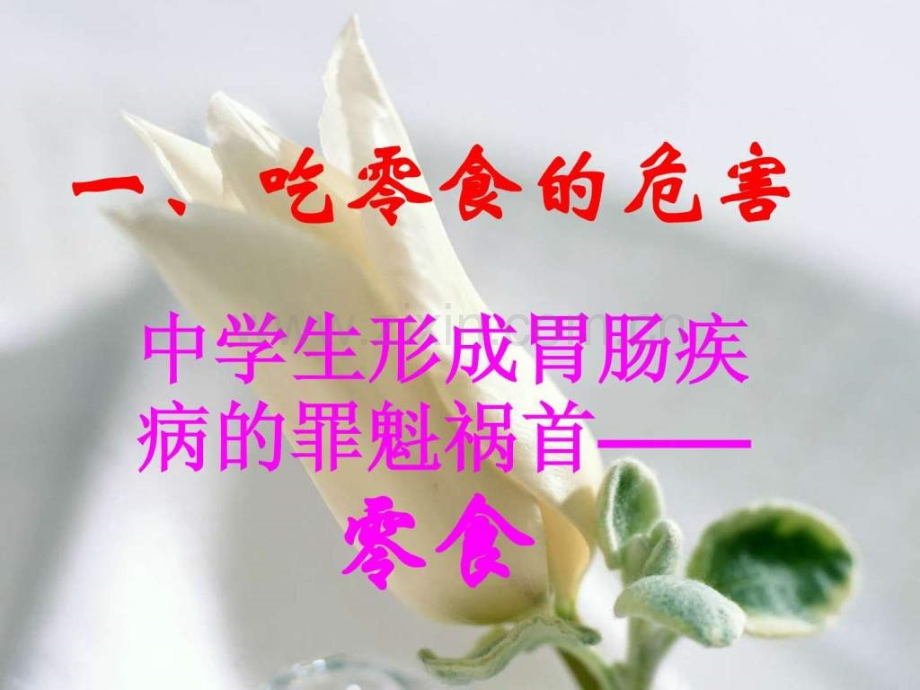 健康饮食班会.ppt_第2页