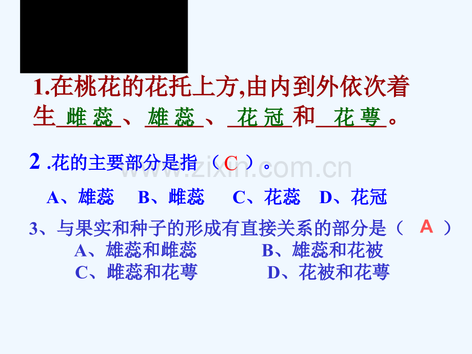 八年级生物上册-第四单元-第二节-传粉与受精-(新版)济南版.ppt_第1页