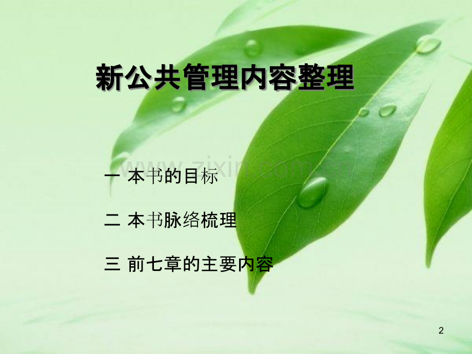 简·来恩《新公共管理》-.ppt_第2页