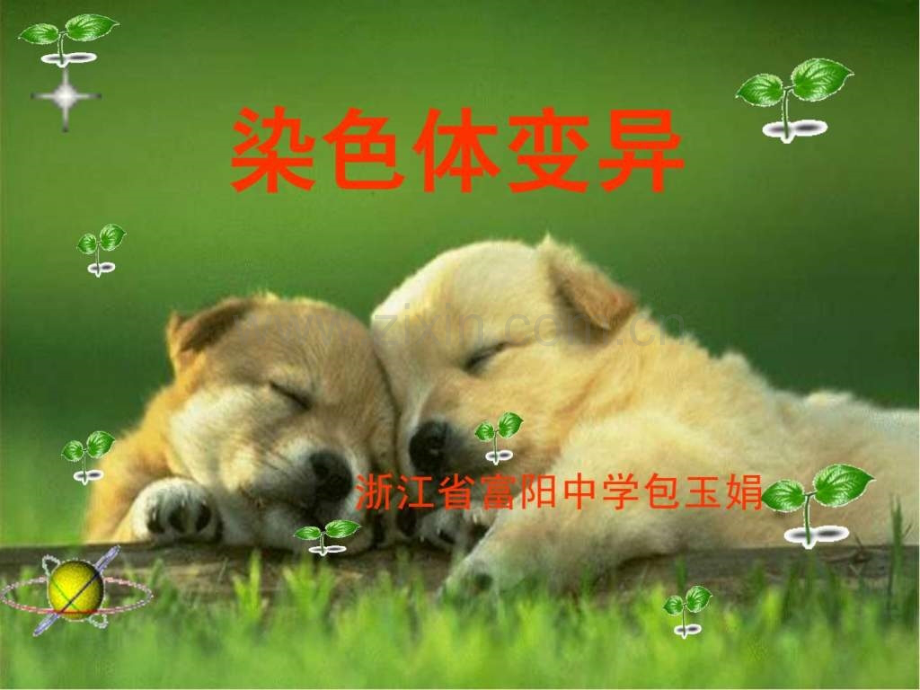 人教版教学视频染色体变异--6.ppt_第1页