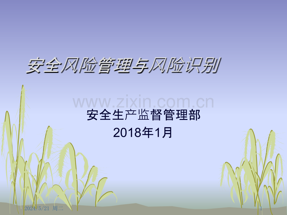 安全风险管理与风险识别.pptx_第1页