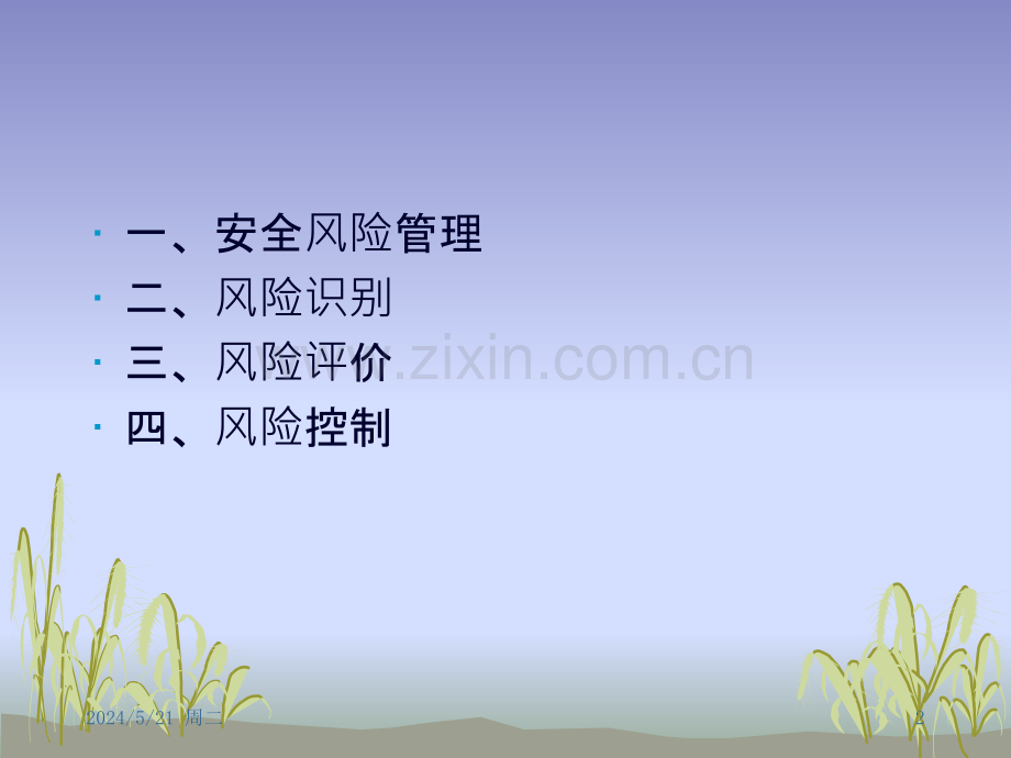 安全风险管理与风险识别.pptx_第2页