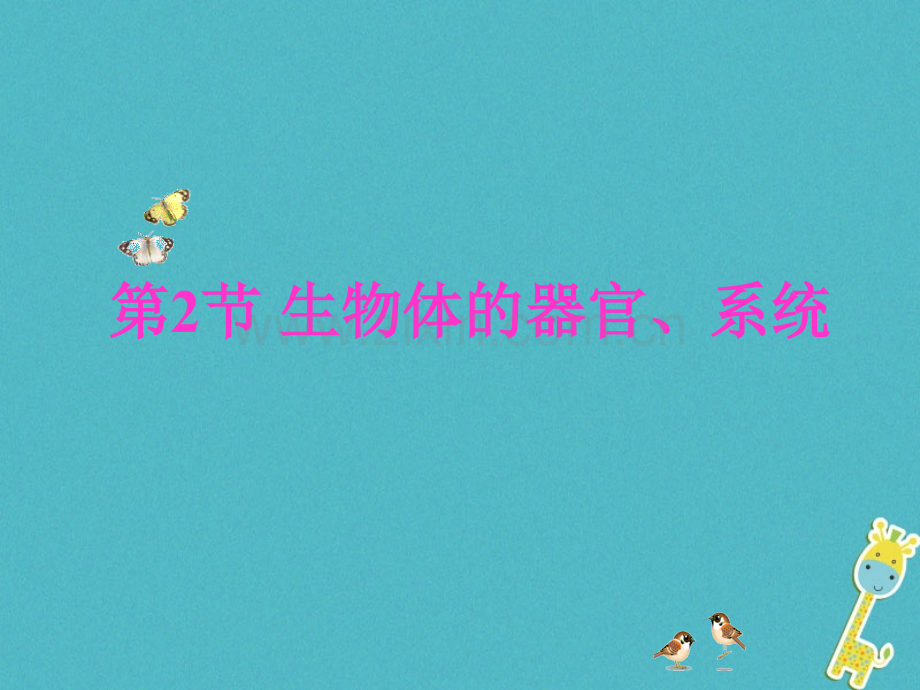 福建省浦城县七年级生物上册4.2生物体的器官、系统(新版)北师大版.ppt_第1页
