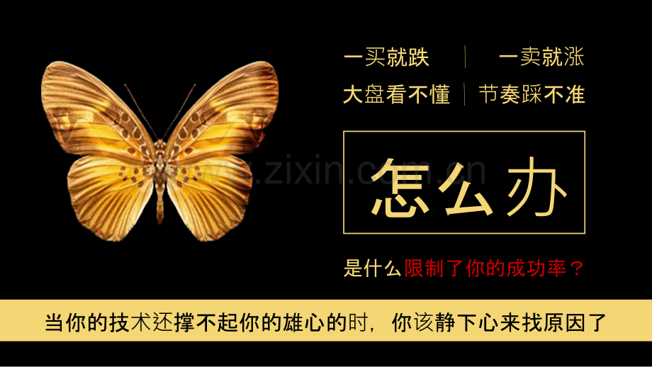 股票分析软件.pptx_第2页
