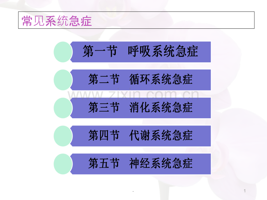护理学--第十章--常见各系统急症.ppt_第1页