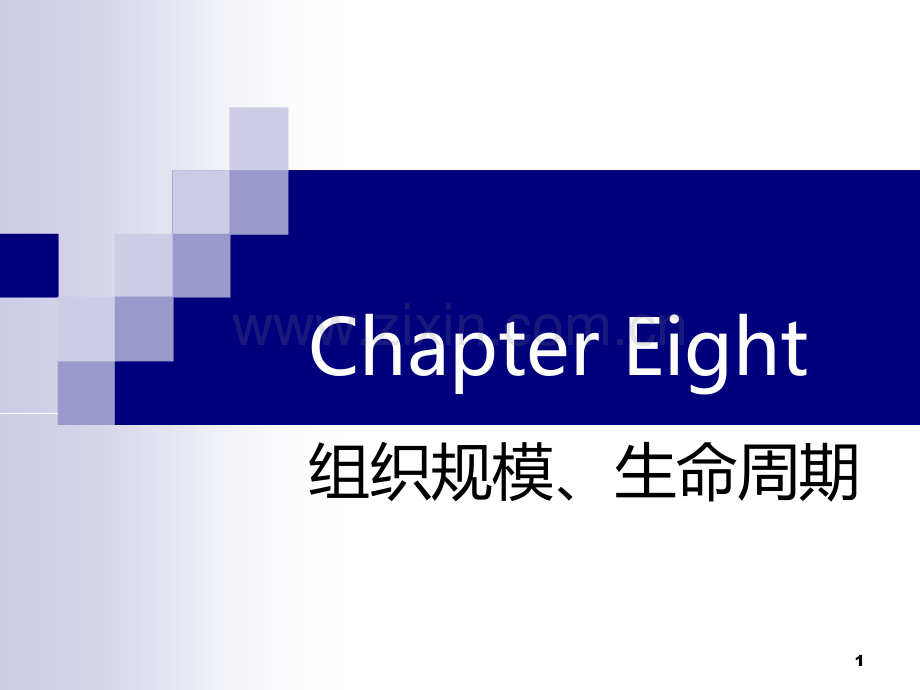 组织理论组织结构组织设计CH规模与生命周期.ppt_第1页
