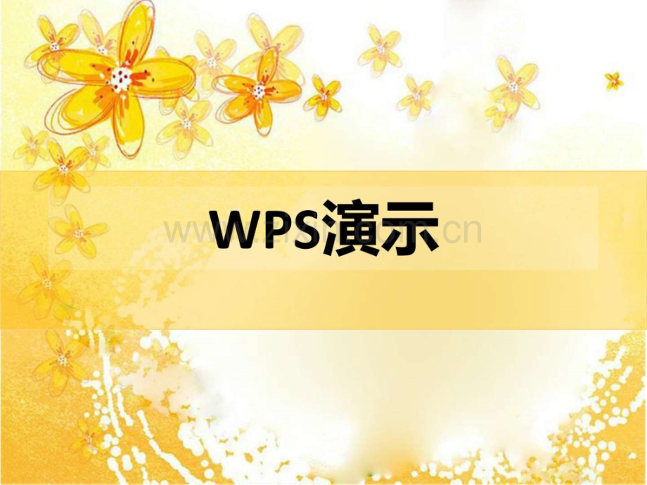 wps(演示文档制作)..ppt_第1页