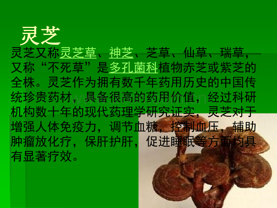 灵芝孢子粉产品常识.ppt_第1页