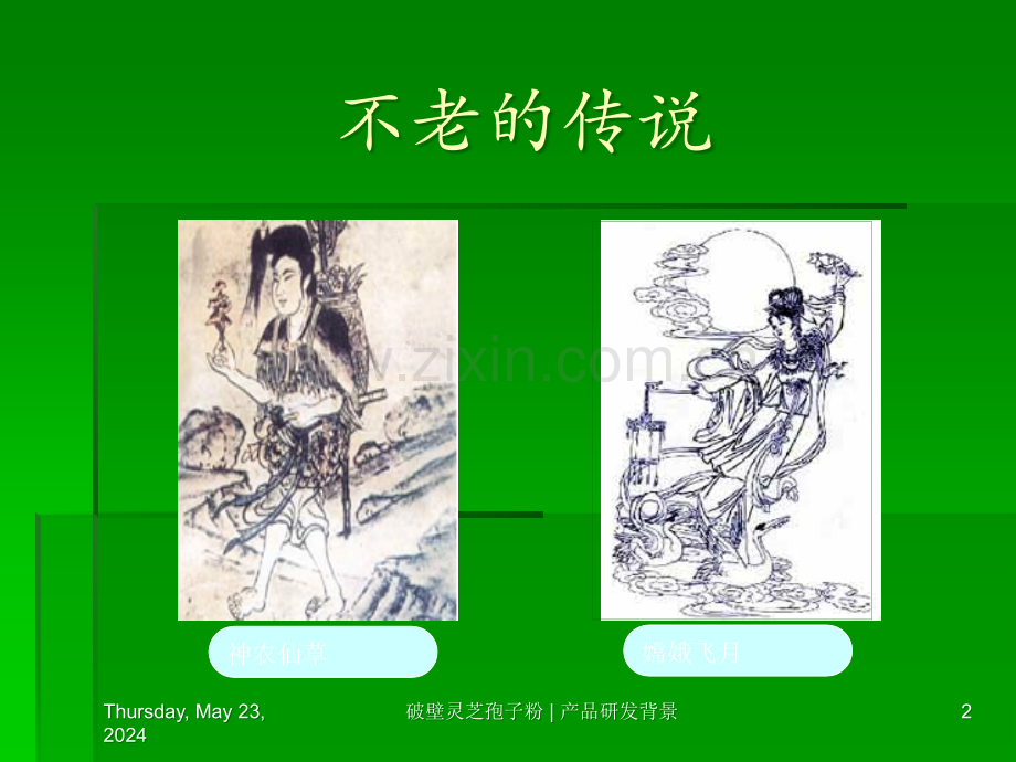 灵芝孢子粉产品常识.ppt_第2页